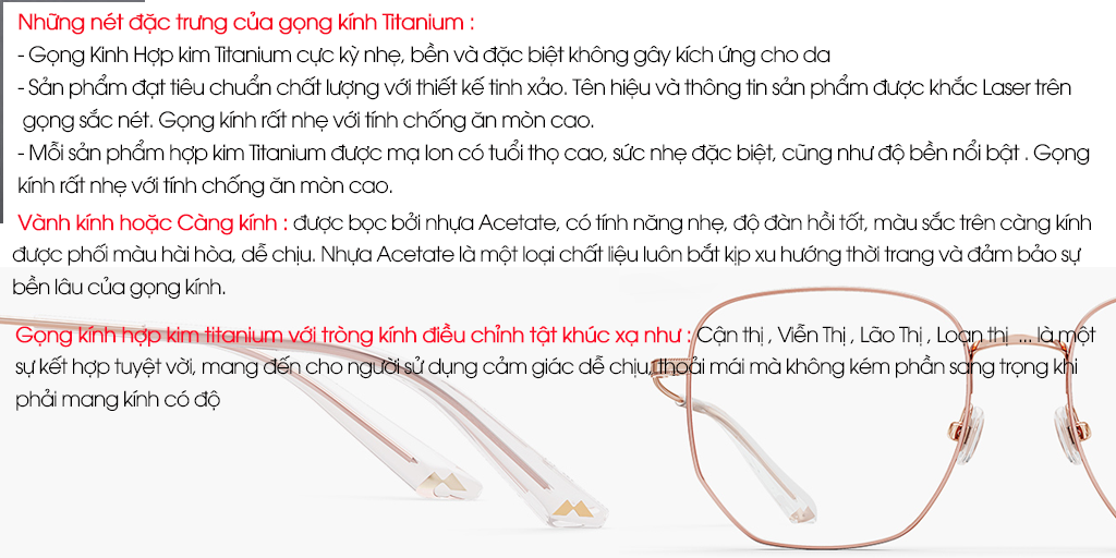 GỌNG KÍNH MOLSION MJ7086 B10 - Hình 3