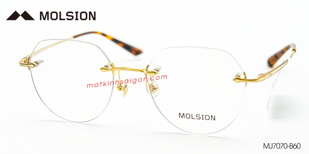GỌNG KÍNH MOLSION MJ7070 B60