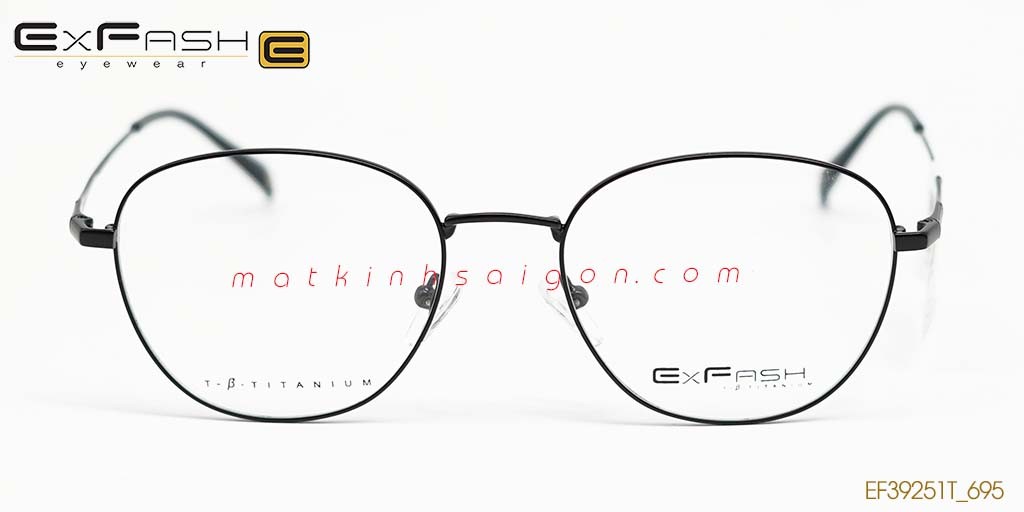 GỌNG KÍNH HỢP KIM EXFASH EF39251T_695 - Hình 3