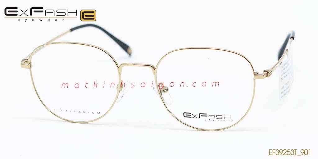 GỌNG KÍNH HỢP KIM EXFASH EF39253T_901