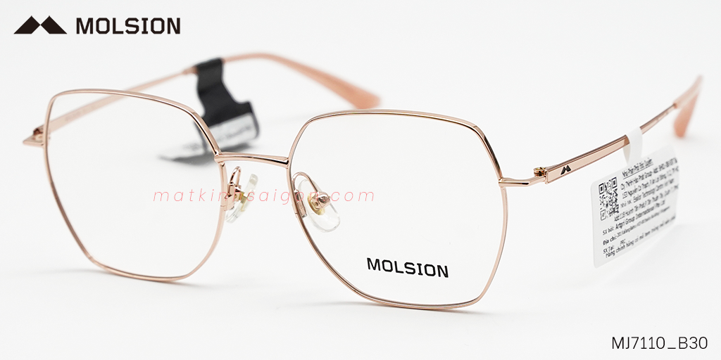 GỌNG KÍNH MOLSION MJ7110 B30