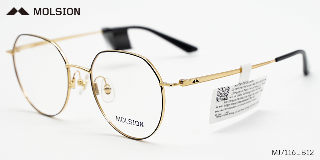 GỌNG KÍNH MOLSION MJ7116 B12 - Hình 5