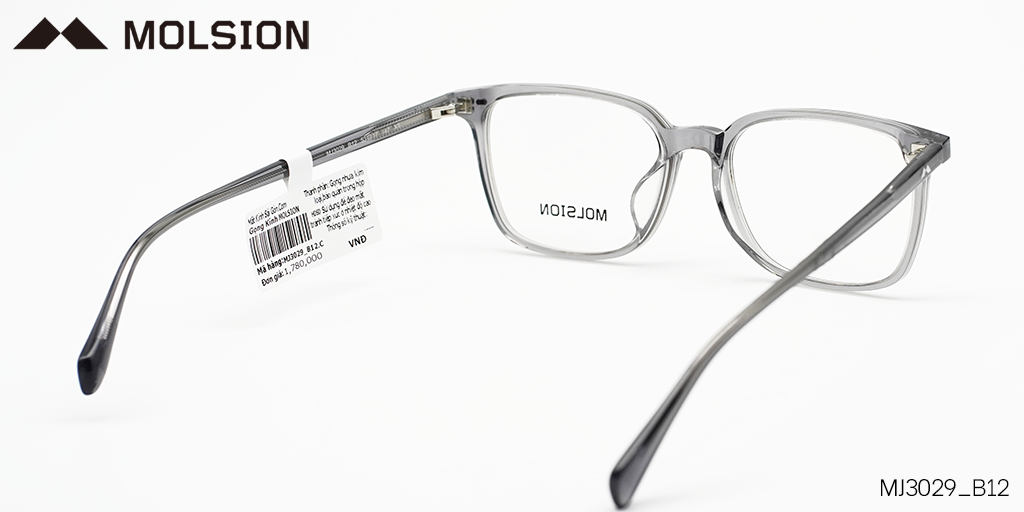 GỌNG KÍNH MOLSION MJ3029 B12 - Hình 5