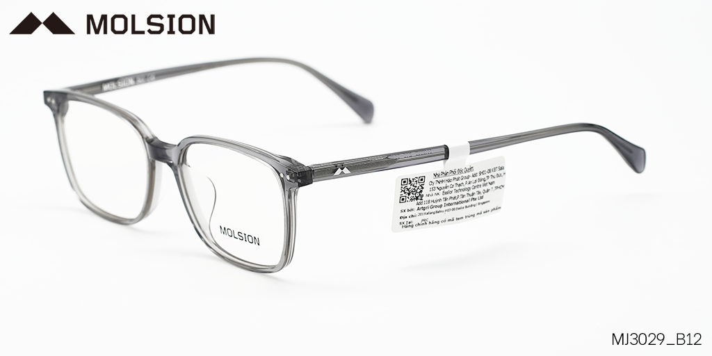 GỌNG KÍNH MOLSION MJ3029 B12 - Hình 6