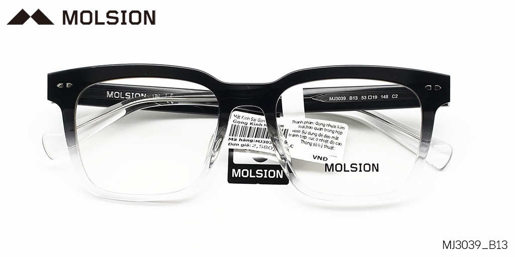GỌNG KÍNH MOLSION MJ3039 B13 - Hover