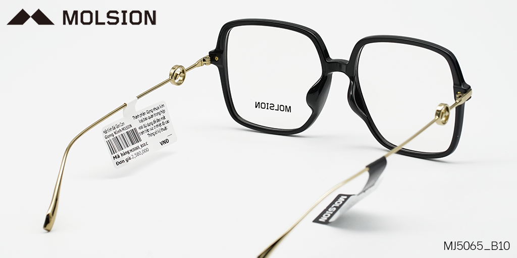 GỌNG KÍNH MOLSION MJ5065 B10 - Hình 4