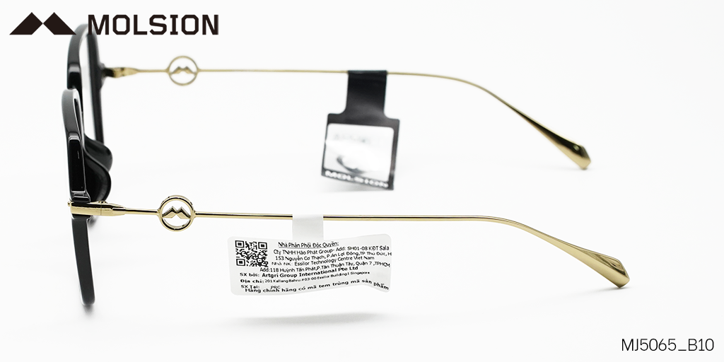 GỌNG KÍNH MOLSION MJ5065 B10 - Hình 6
