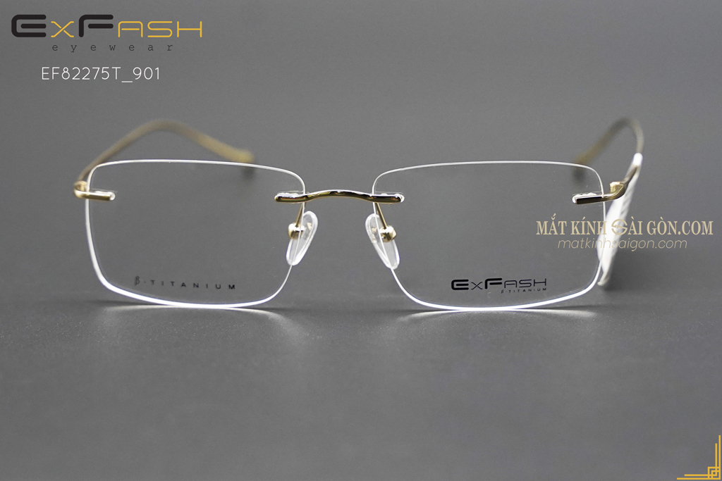 Gọng Kính ExFash EF33275T 901 - Hover