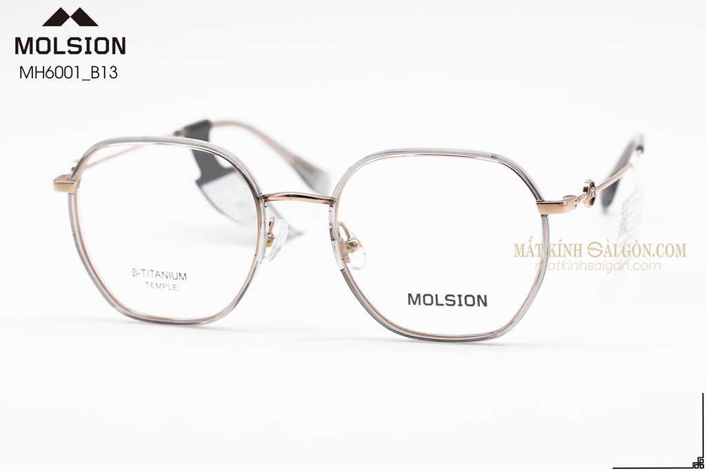 GỌNG KÍNH MOLSION MJ6152 B13