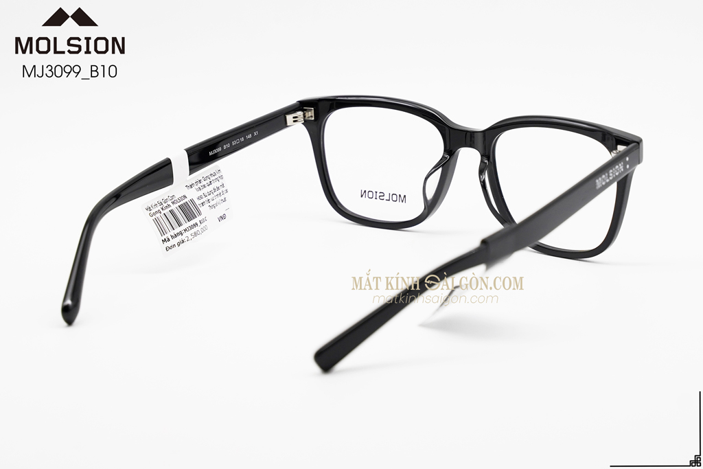 GỌNG KÍNH MOLSION MJ3099 B10 - Hình 4