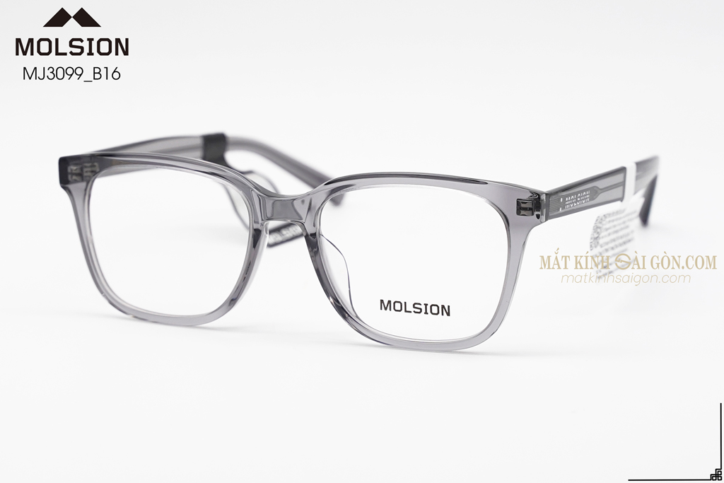 GỌNG KÍNH MOLSION MJ3099 B16 - Hình 5