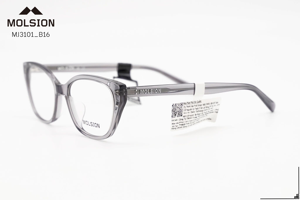 GỌNG KÍNH MOLSION MJ3101 B16 - Hình 6