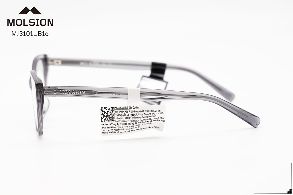 GỌNG KÍNH MOLSION MJ3101 B16 - Hình 7
