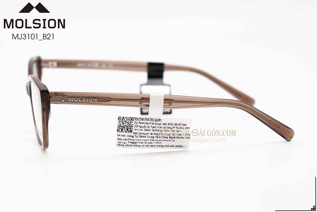 GỌNG KÍNH MOLSION MJ3101 B21 - Hình 5