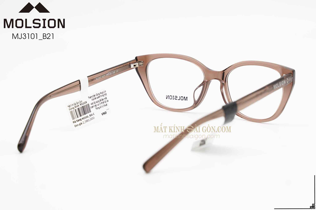 GỌNG KÍNH MOLSION MJ3101 B21 - Hình 4