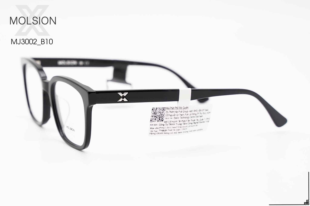 GỌNG KÍNH MOLSION MX3002 B10 - Hình 8