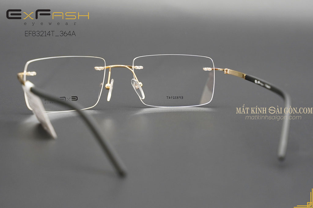 GỌNG KÍNH EXFASH EF83214T 364A - Hình 3