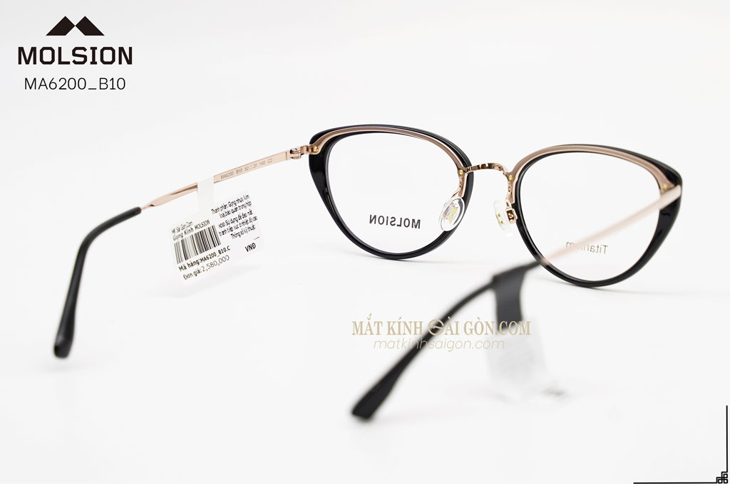 GỌNG KÍNH MOLSION MA6200 B10 - Hình 4