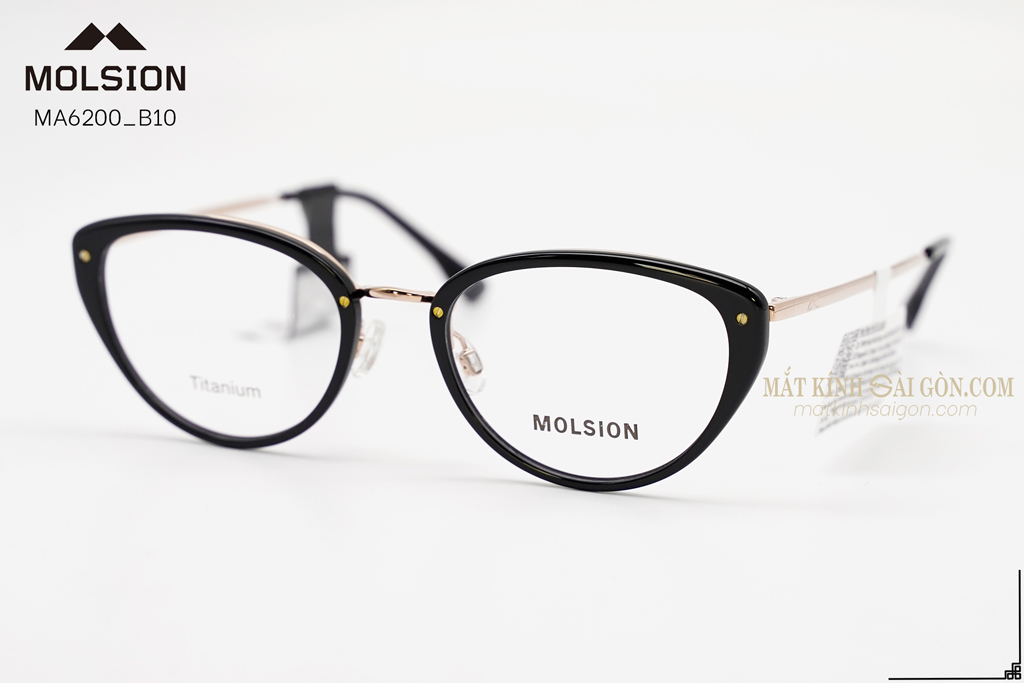 GỌNG KÍNH MOLSION MA6200 B10 - Hình 6