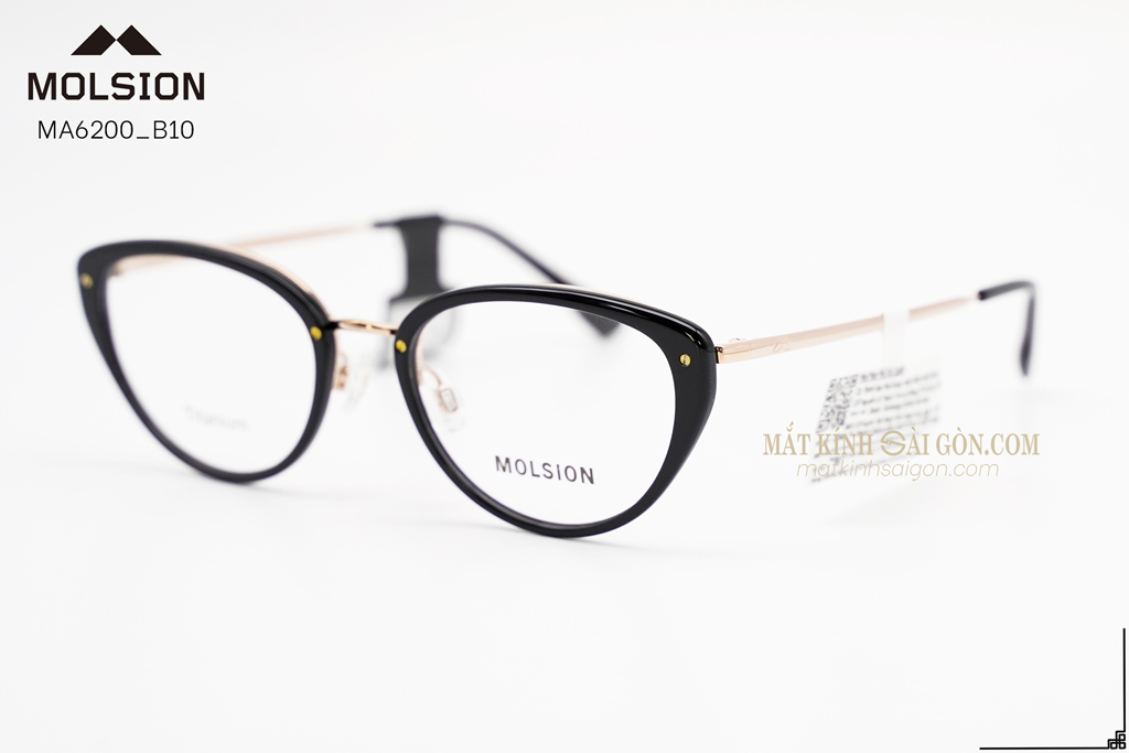 GỌNG KÍNH MOLSION MA6200 B10 - Hình 7
