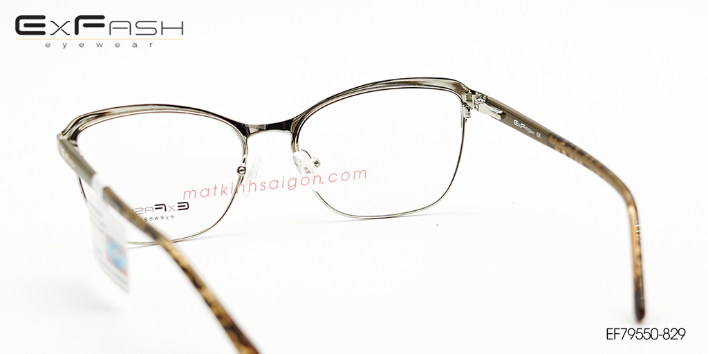 Gọng Kính Hợp Kim Exfash EF79550-829 - Hình 4