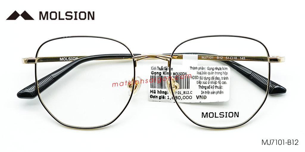Gọng Kính Molsion MJ7101 B12 - Hover
