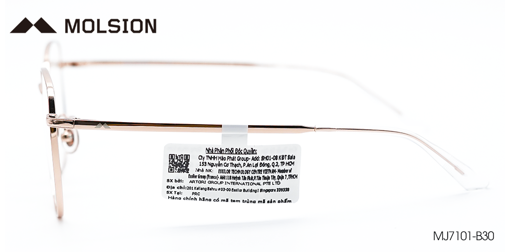 Gọng Kính Molsion MJ7101 B30 - Hình 5