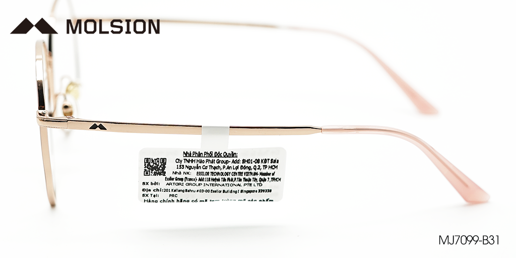 Gọng Kính Molsion MJ7099 B31 - Hình 5
