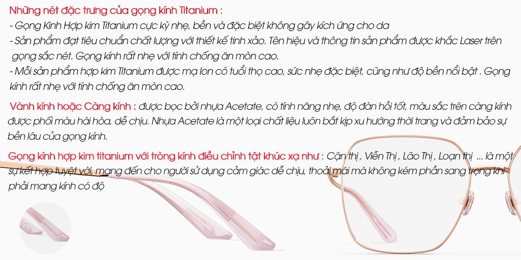 GỌNG KÍNH MOLSION MJ3007 B10 - Hình 4