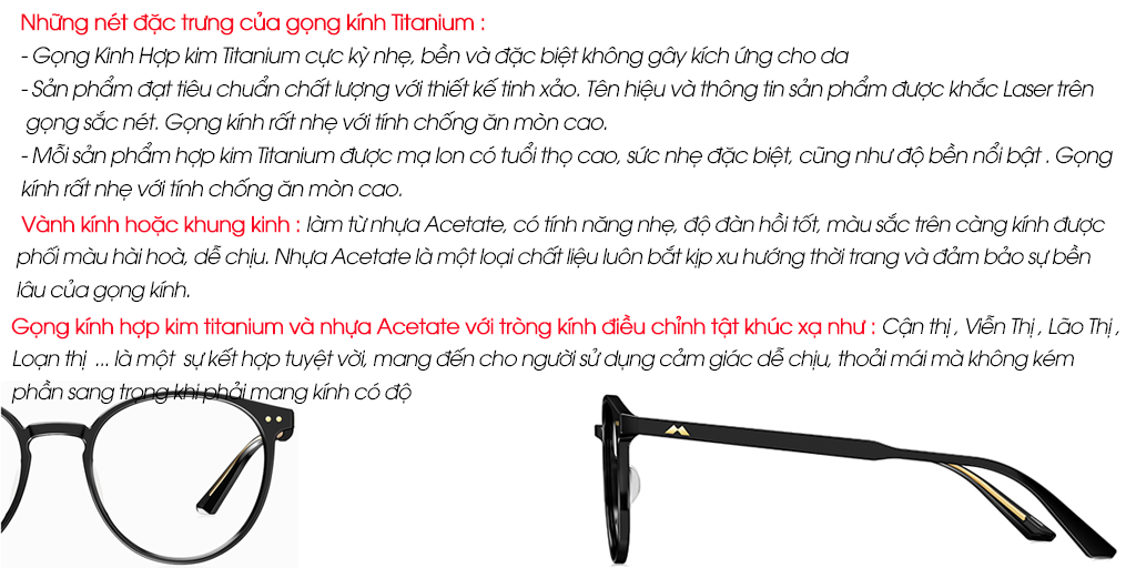 GỌNG KÍNH MOLSION MJ3009 B20 - Hình 5