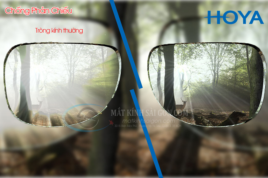 Tròng Kính Đổi Màu 1.50 Hoya Sensity - Hình 8